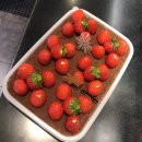 빅스타피자 경산점 | 나 투썸 알바생! 크리스마스 케잌 추천/투썸 케이크 추천/연말 케이크 추천