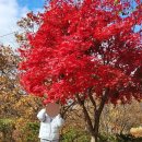 신참떡볶이 월성점 이미지