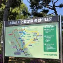 태학산자연휴양림오토캠핑장 | [천안]태학산자연휴양림 오토캠핑장 후기, 또 가고 싶은 곳(모어뷰2텐트)