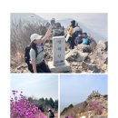 성호공원_조각공원주변 | 진해 장복산 등산코스 조각공원 출발 진달래 등산 후기