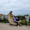 삼양농장 Daum카페