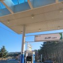 소나무세차장 이미지