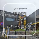 백상미술 | 고양시 전시회 - 갤러리 백상 클림트&고흐 그리고 인상주의 展