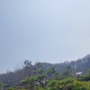 태솔농장 이미지