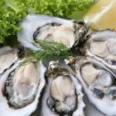 굴이야기 이미지