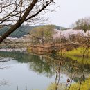 연서공원 티스토리