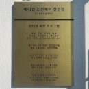 여수피부관리 건강미뷰티플레이스 압출맛집 여드름관리