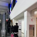 2024서울리빙디자인페어 후기 총정리(길찾기, 입장방법, 주차, 볼거리)