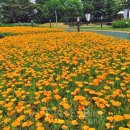 (주)세상구경