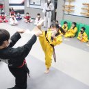 명성태권도 이미지