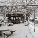 서림농원 이미지