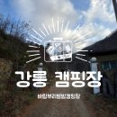 # 세상후기통 _ 강릉 차박캠핑장 [바람부리별밤캠핑장 관광농원]