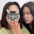 964 커피 앤 브레드