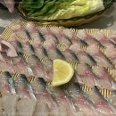 싱싱회관 이미지