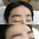 케이나인종합동물병원 | 부산 눈썹 왁싱 추천 광안리 은영하다 속눈썹&amp;왁싱