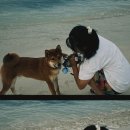 우리들의월정리 이미지