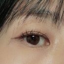 블리스데이(Bliss Day) | 컬러렌즈 추천. 눈빛에 무드를 더하다✨ 시에스타 렌즈 블리스 카페 파티나 후기