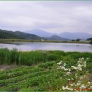 태화초등학교병설유치원 이미지