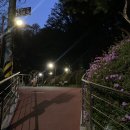 단대게이트볼장 이미지