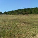 남원읍-15 이미지