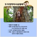 경보사슴 이미지