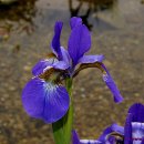 풍경(오월의 이야기 이미지