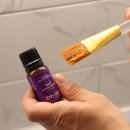 디보쉬 헤어 이미지