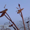 4월에 듣기 좋은 노래 (가곡과 클래식) 이미지