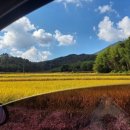 어왕보건진료소 이미지