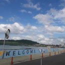 조천타이어 이미지