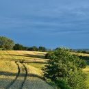 마지기로 이미지