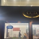 카페CCD송정점 이미지