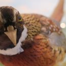 송지호관망타워(내부) 이미지