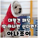 대형견 패딩 중형견 패딩 추천! 아나조이 강아지 패딩 실사용후기