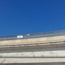 팽성대교길 이미지