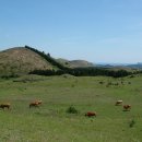 읍하목장 이미지