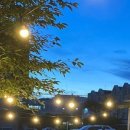 제주집(JEJU ZIP) 이미지