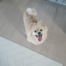 토이워크 이미지
