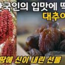 한토대 이미지
