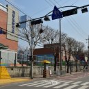 옐로카펫 이미지