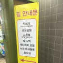 고속터미널 꽃시장 ｜ 꽃시장 가격 꽃 도매상가 가는법 솔직후기 (꿀팁O)