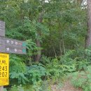 삼강축산 이미지