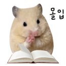 봉봉게임랜드 이미지