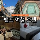 애비뉴짐 | 밴프 숙소 추천🏨 엘크애비뉴 호텔 후기(훌륭한 위치, 서비스)