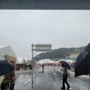 금산인삼관 | [국내여행] 대전 근교 나들이 - 2025년 9월 금산 인삼축제 다녀온 후기