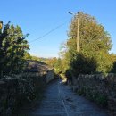 길식당 | [산티아고 순례길 / Day 27] 사모스(Samos)에서 사리아(Sarria) 가는길 후기 (사리아 식당 추천)