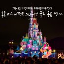 플루토모바일 주식회사 | 홍콩 디즈니랜드 20주년 굿즈 무료 받기｜가는 법·티켓 예매·어트랙션 총정리