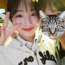 (주)지큐소프트 | 5월: 지나가유~~