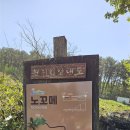 신화휴게마트 | 🏞️ 한라산 대신 노꼬메오름 트래킹! 다리가 풀린 리얼 후기 공개! 🏃‍♂️🌿