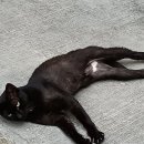 온셰어 이미지